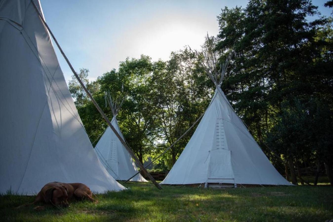 Ausserhalb2 - Uebernachten Im Tipi Weisel